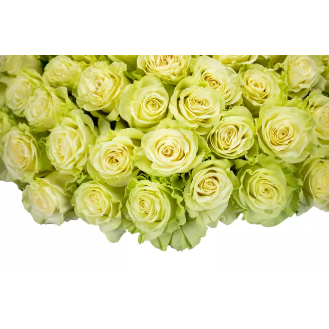 Kytice bílých růží